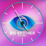 Big Brother Mzansi 2025 Finale Date