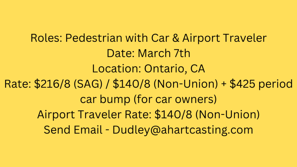 Roles: Pedestrian with Car & Airport Traveler