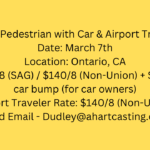 Roles: Pedestrian with Car & Airport Traveler